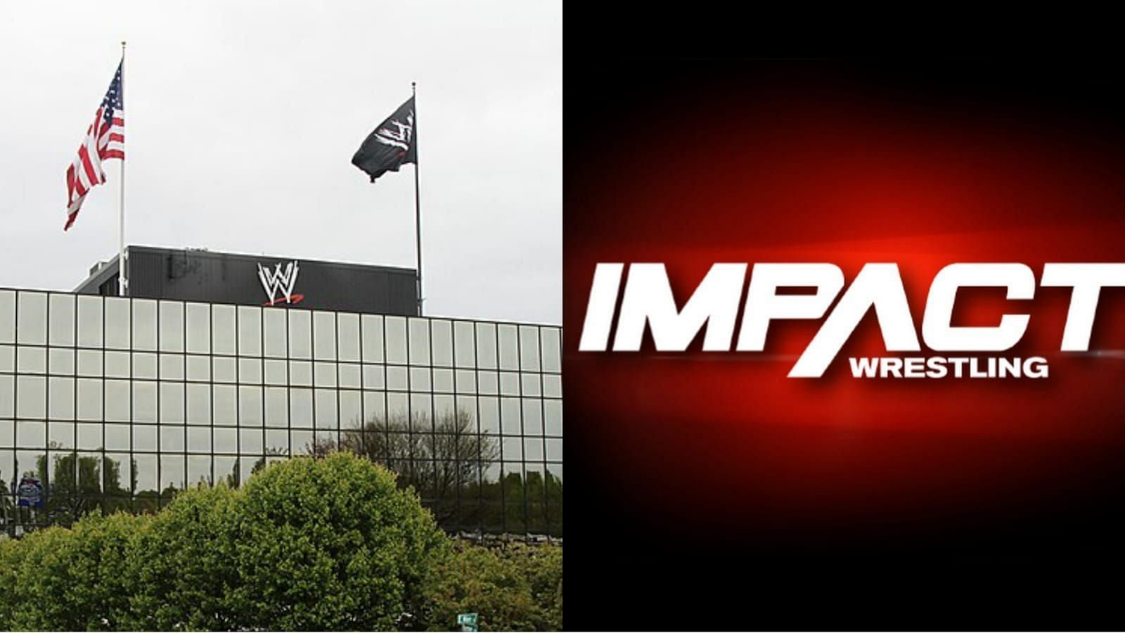 WWE and Impact Wrestling are pro wrestling promotions based in USA!