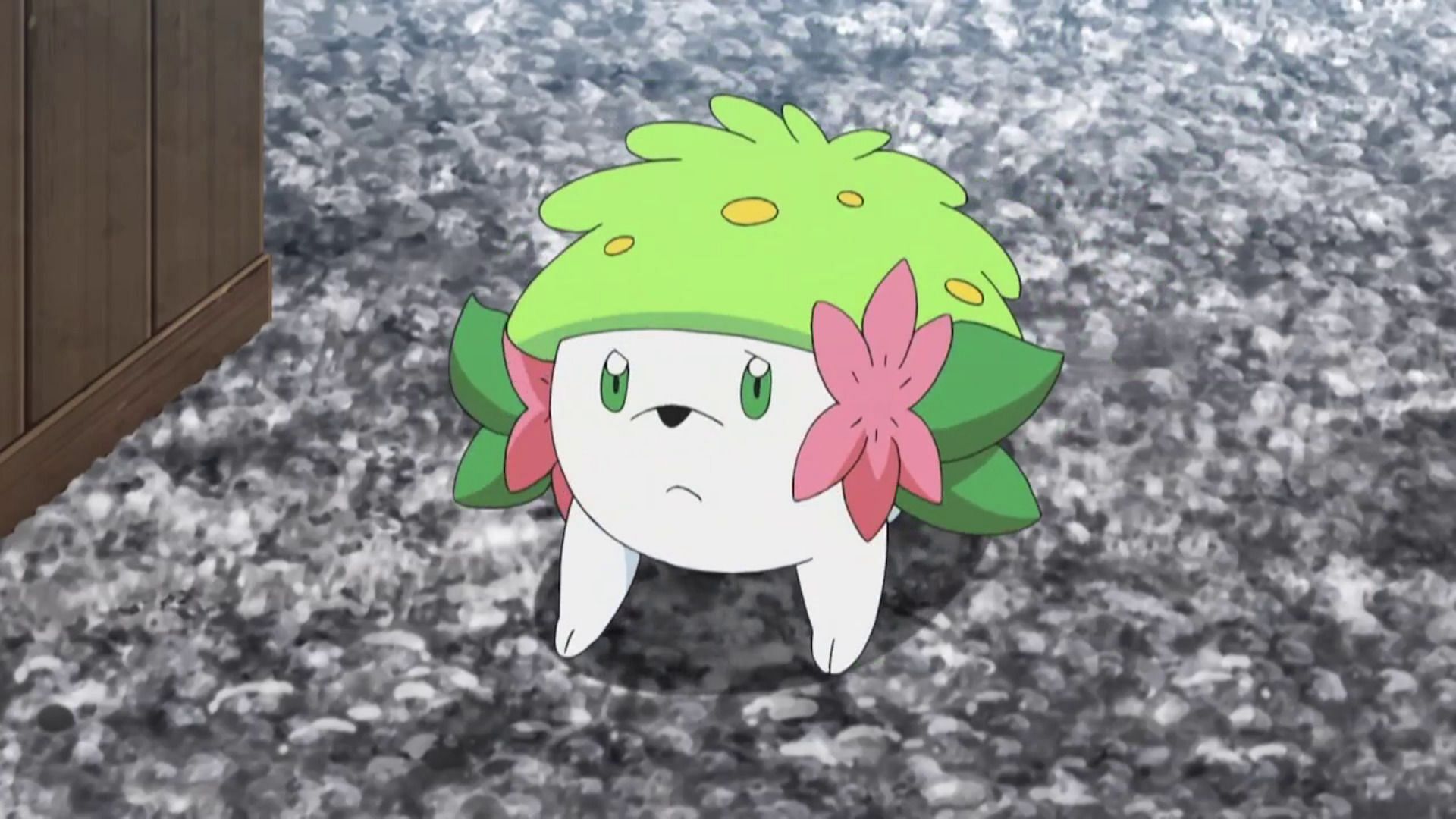 Shaymin, Pokemon Wiki