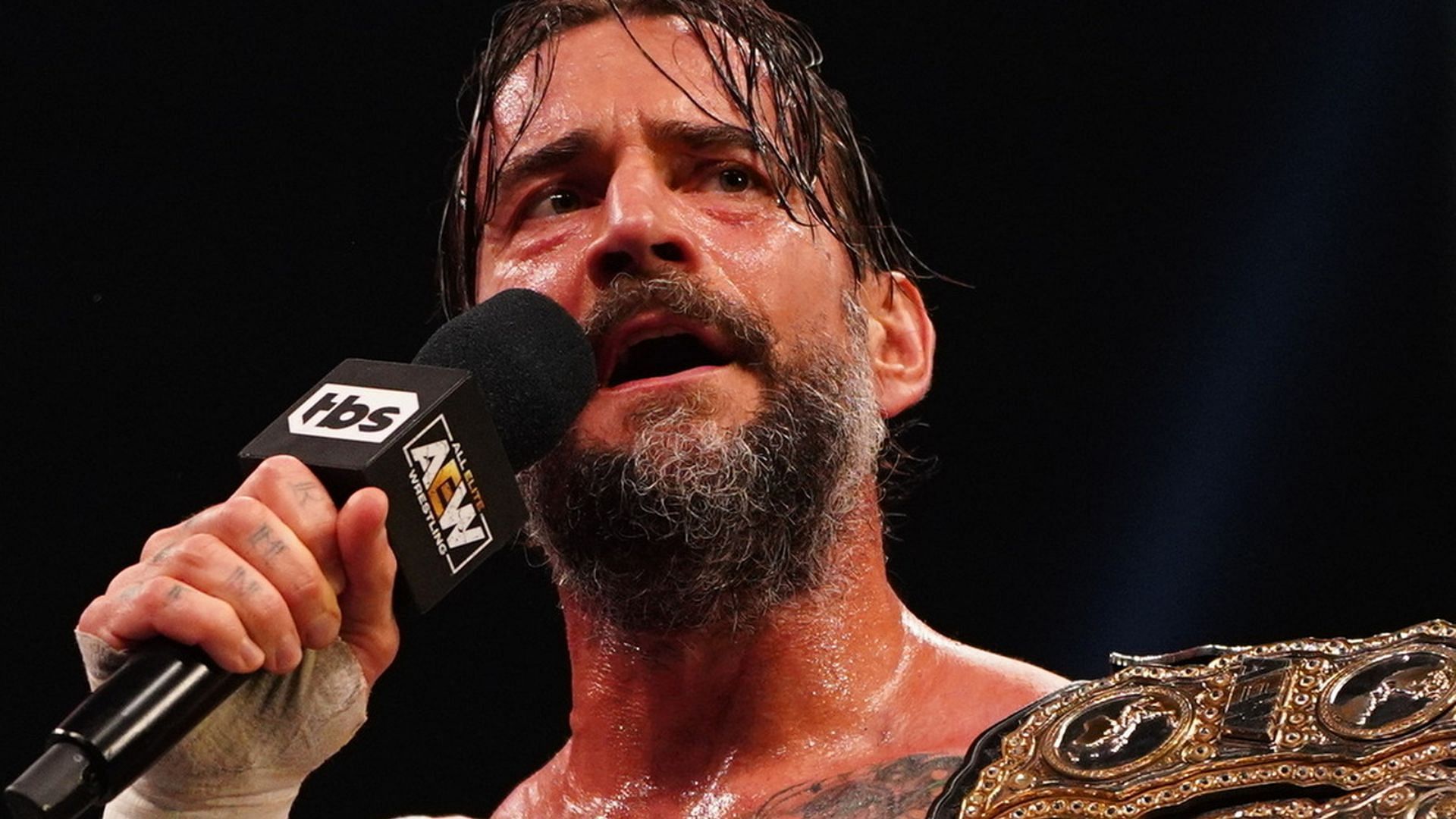 Could the presence of CM Punk allow this star to return to AEW?