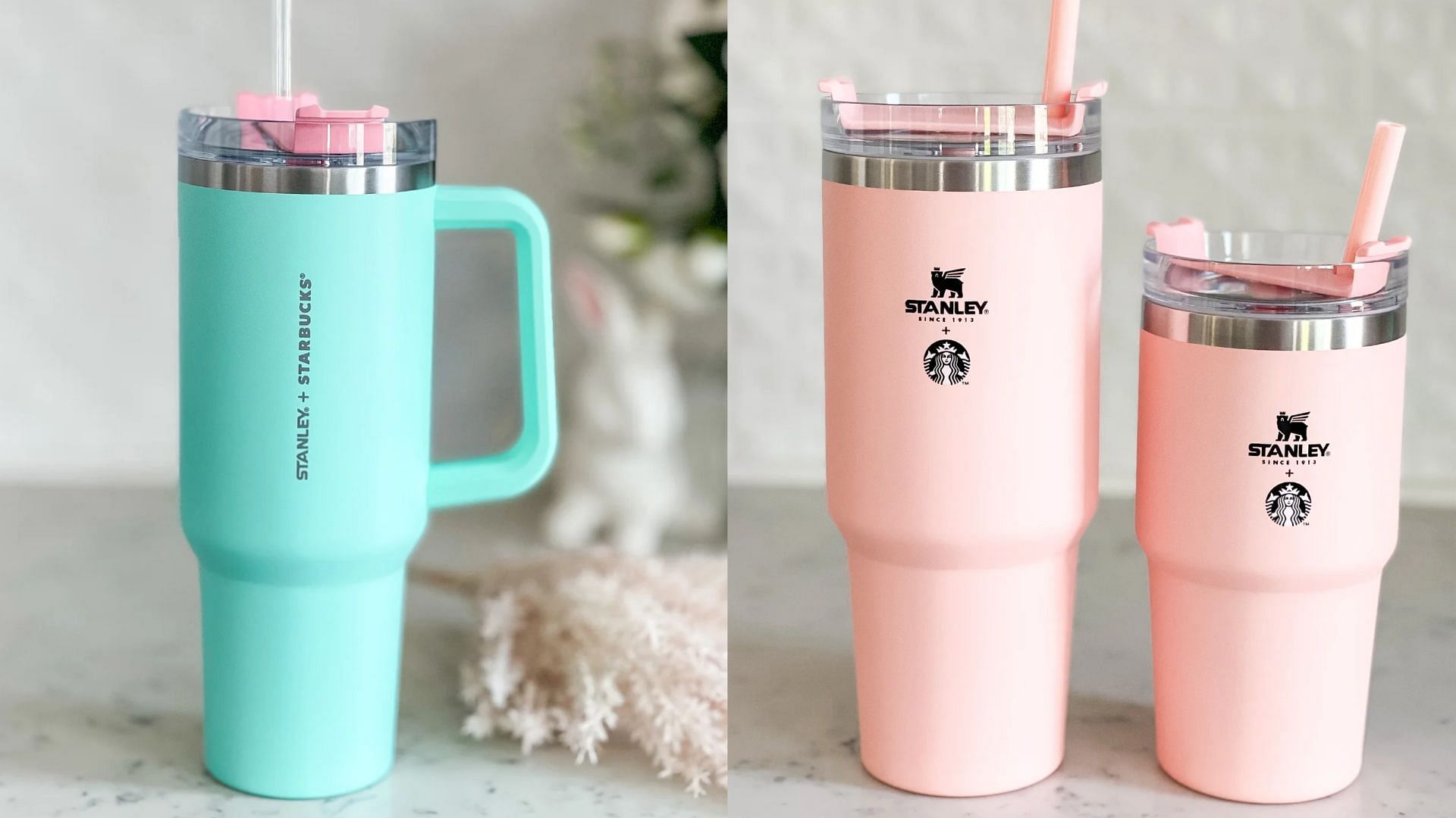 We found the Starbucks x Stanley tumbler IN STOCK today! This
