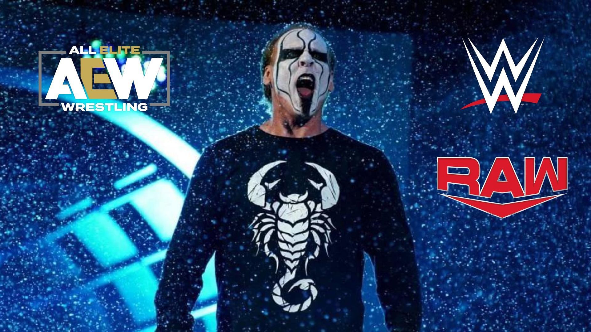 Sting is former WCW is World Champion