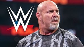"Somebody book this!" - Former WWE Superstar challenges Goldberg to return match