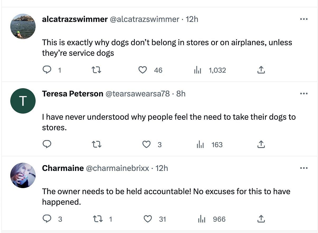 Social media users are infuriated after a dog bites a customer at Home Depot and the pet owner flees away from the scene. (Image via Twitter)