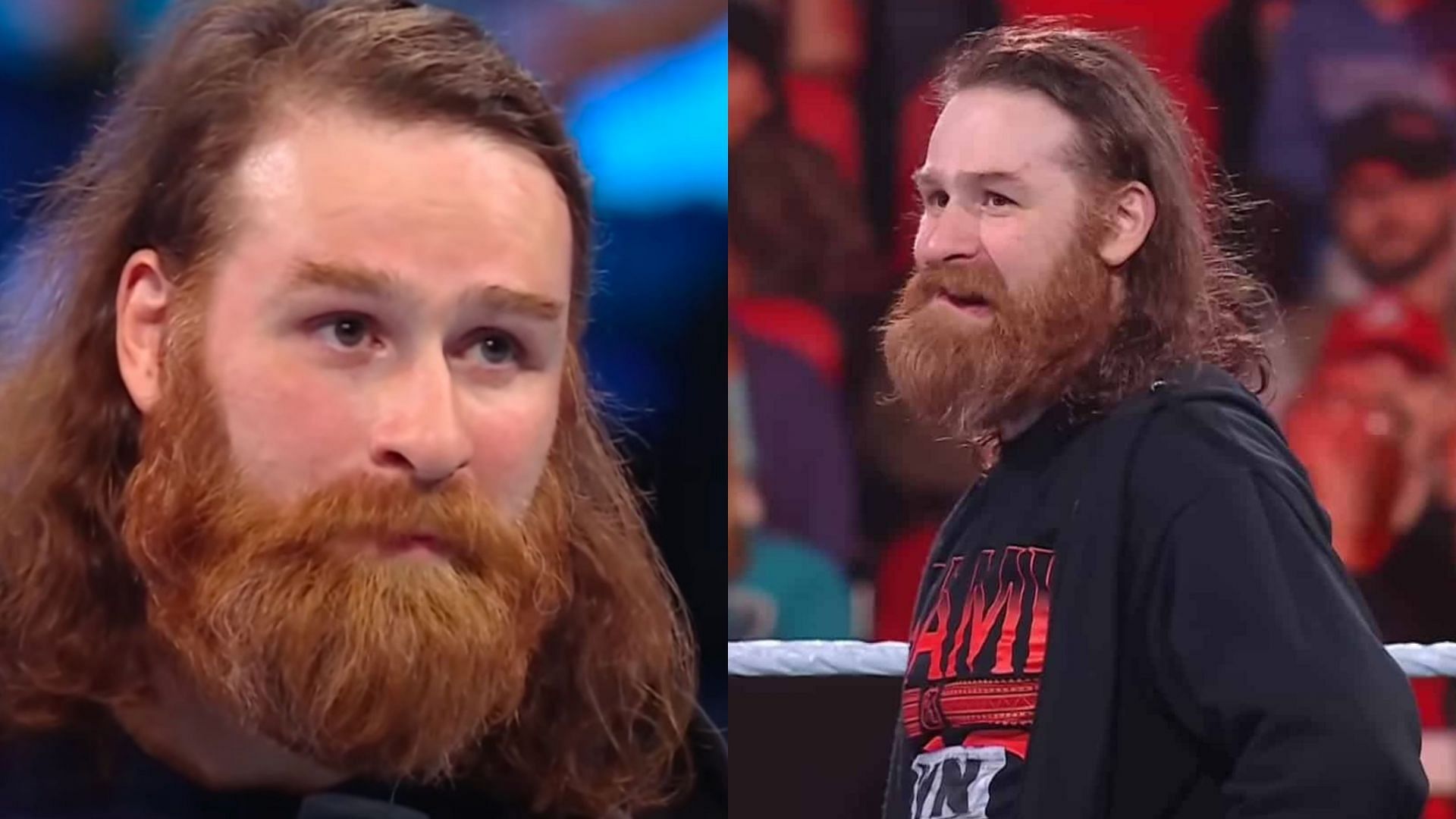 "Made A Terrible Mistake" - YouTuber Apologizes To Sami Zayn After ...