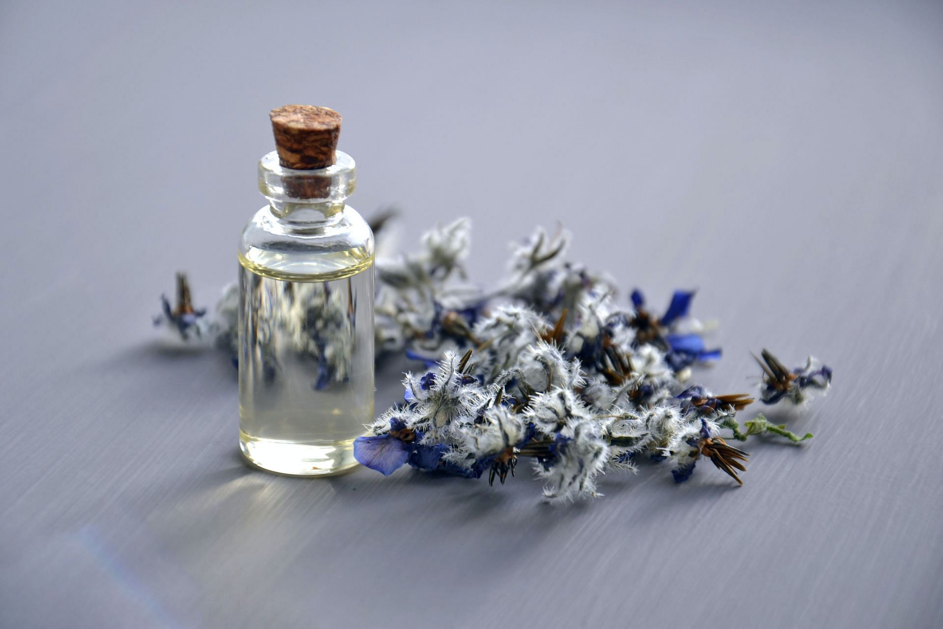 Lavender oil can be used as an alternative. (Image via Pexels/Mareefe)