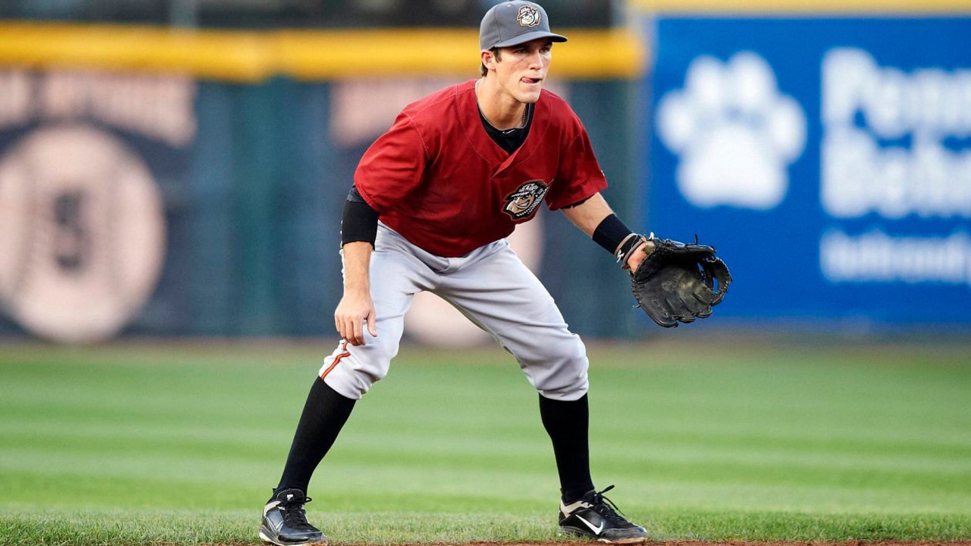 Drew Maggi will play for Pittsburgh Pirates in Major League