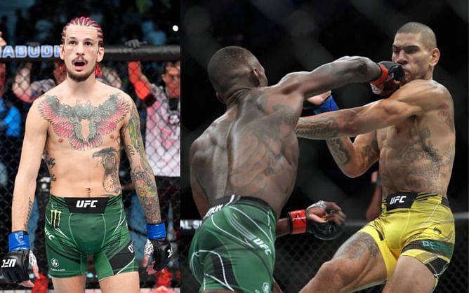 Sean O'Malley believes Israel Adesanya will utilize his ground game to defeat Alex Pereira