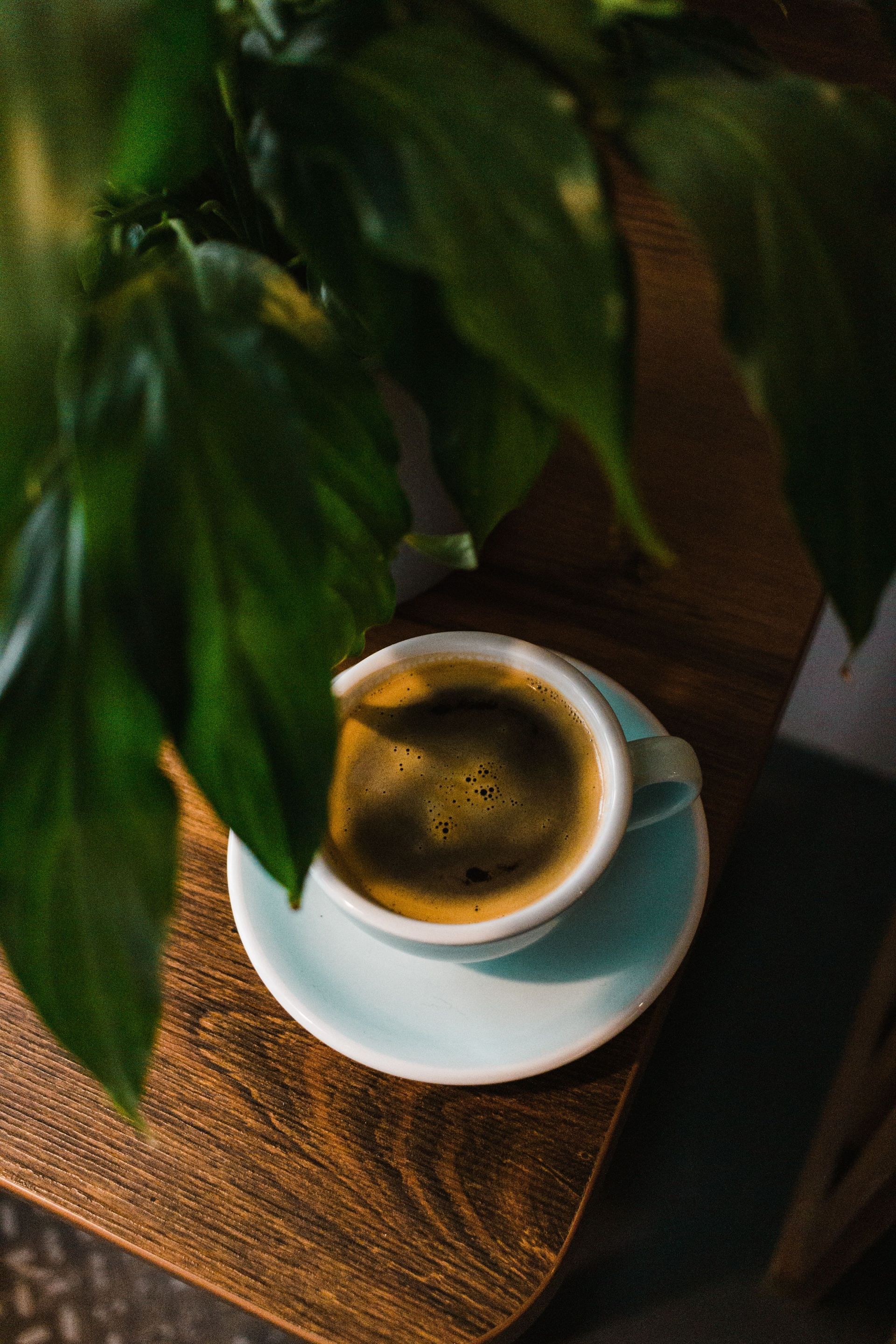 Organic coffee for better health (Image via Pexels)
