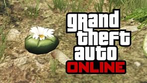 GTA Online Peyote Plants glitch allows solo players to earn thousands of RP every minute