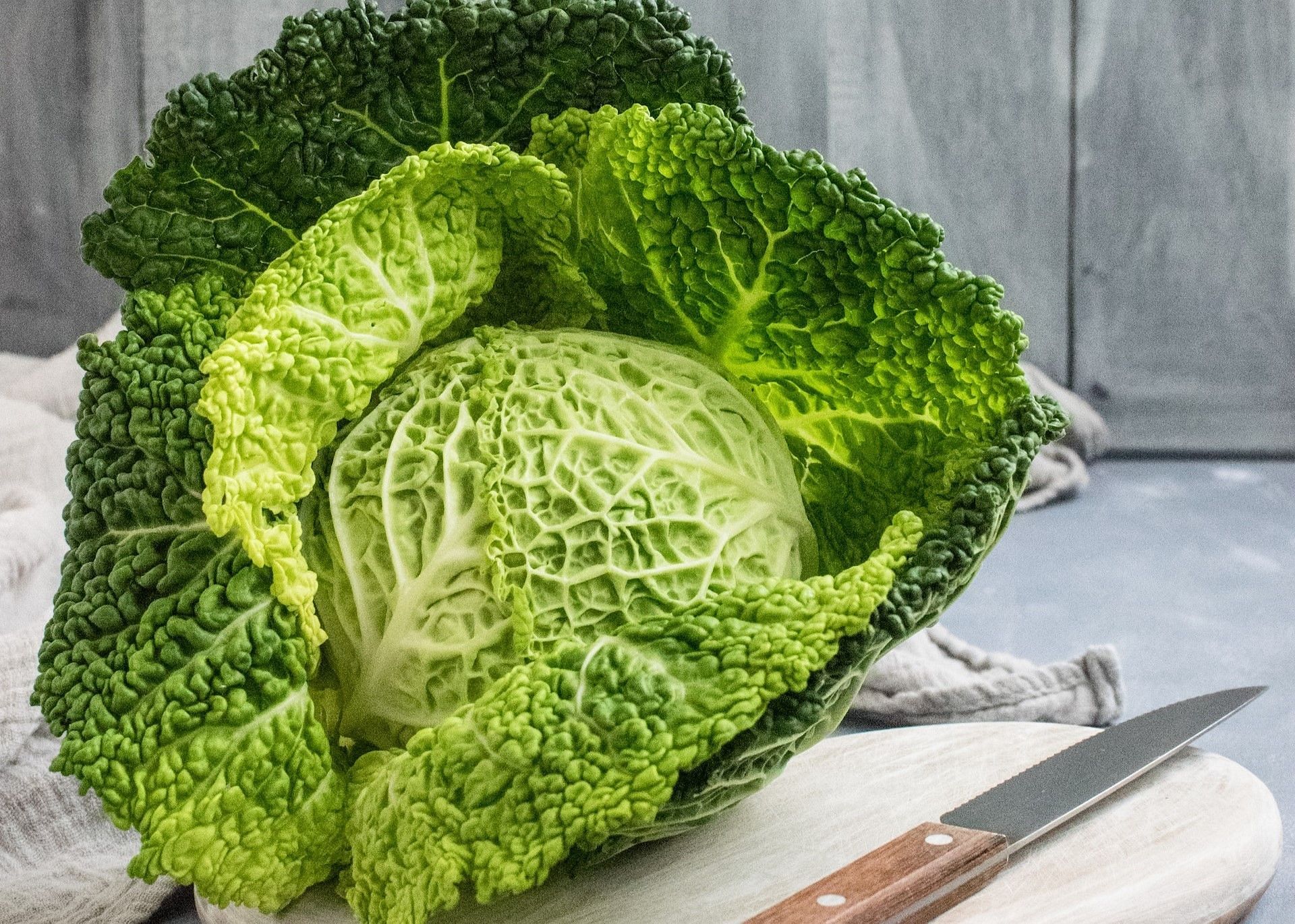 Cabbage (Photo via Monika Grabkowska/Unsplash)