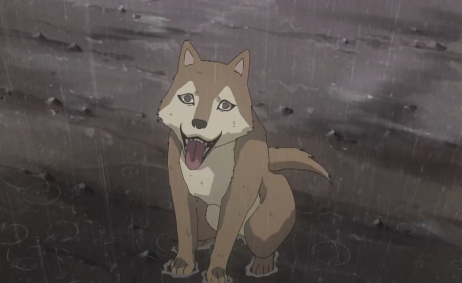 Chibi in Naruto Shippuden