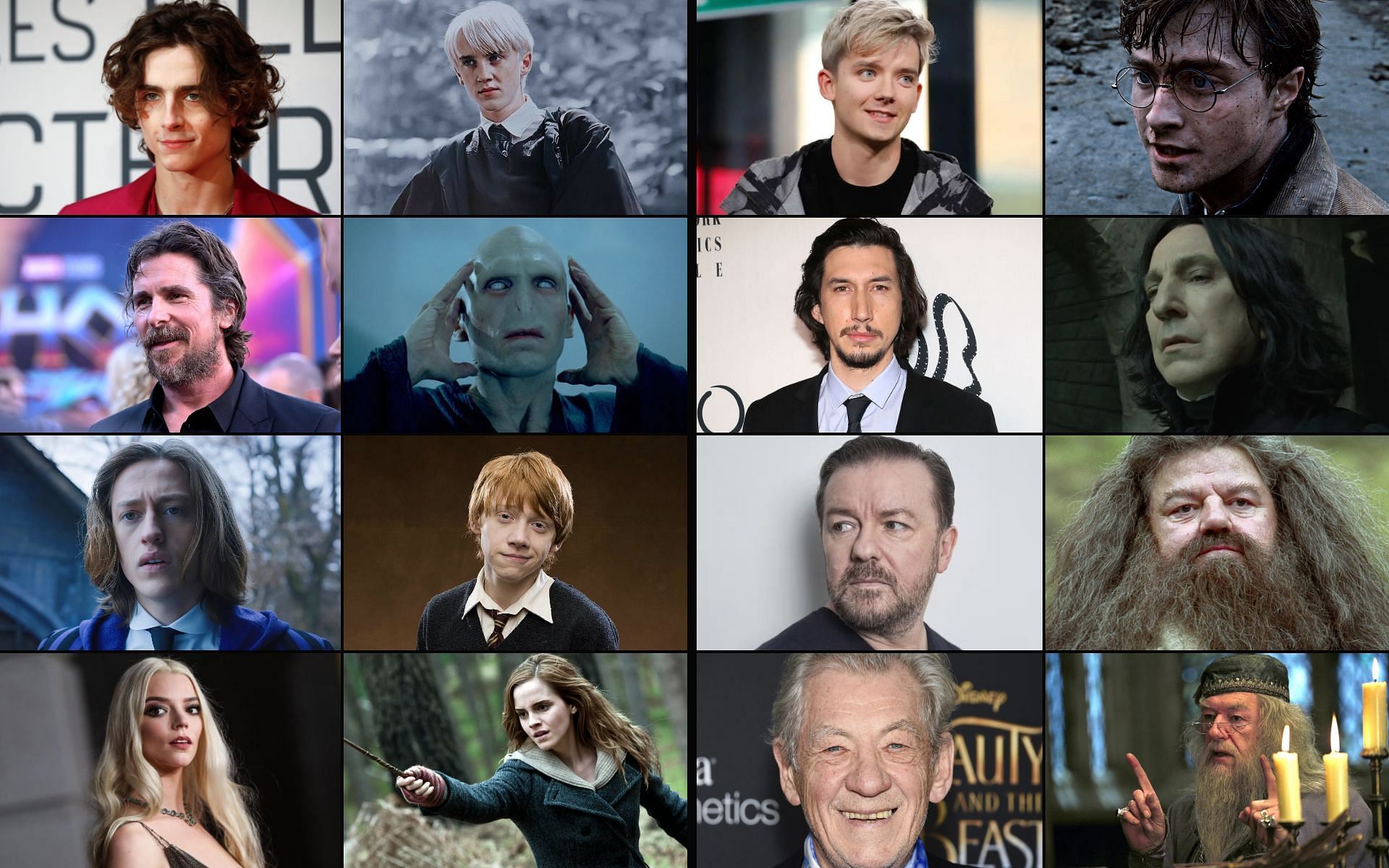 What is the Harry Potter fan cast? I am not up to date. - Quora