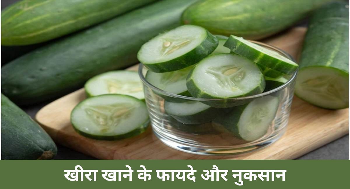 खीरा खाने के फायदे और नुकसान(फोटो-Sportskeeda hindi)