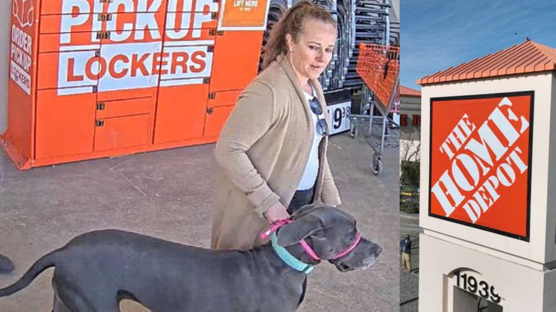 Social media users infuriated as a dog bites a customer at Home Depot, and the pet owner flees the scene. (Image via Jefferson Country Sheriff&#039;s Office)