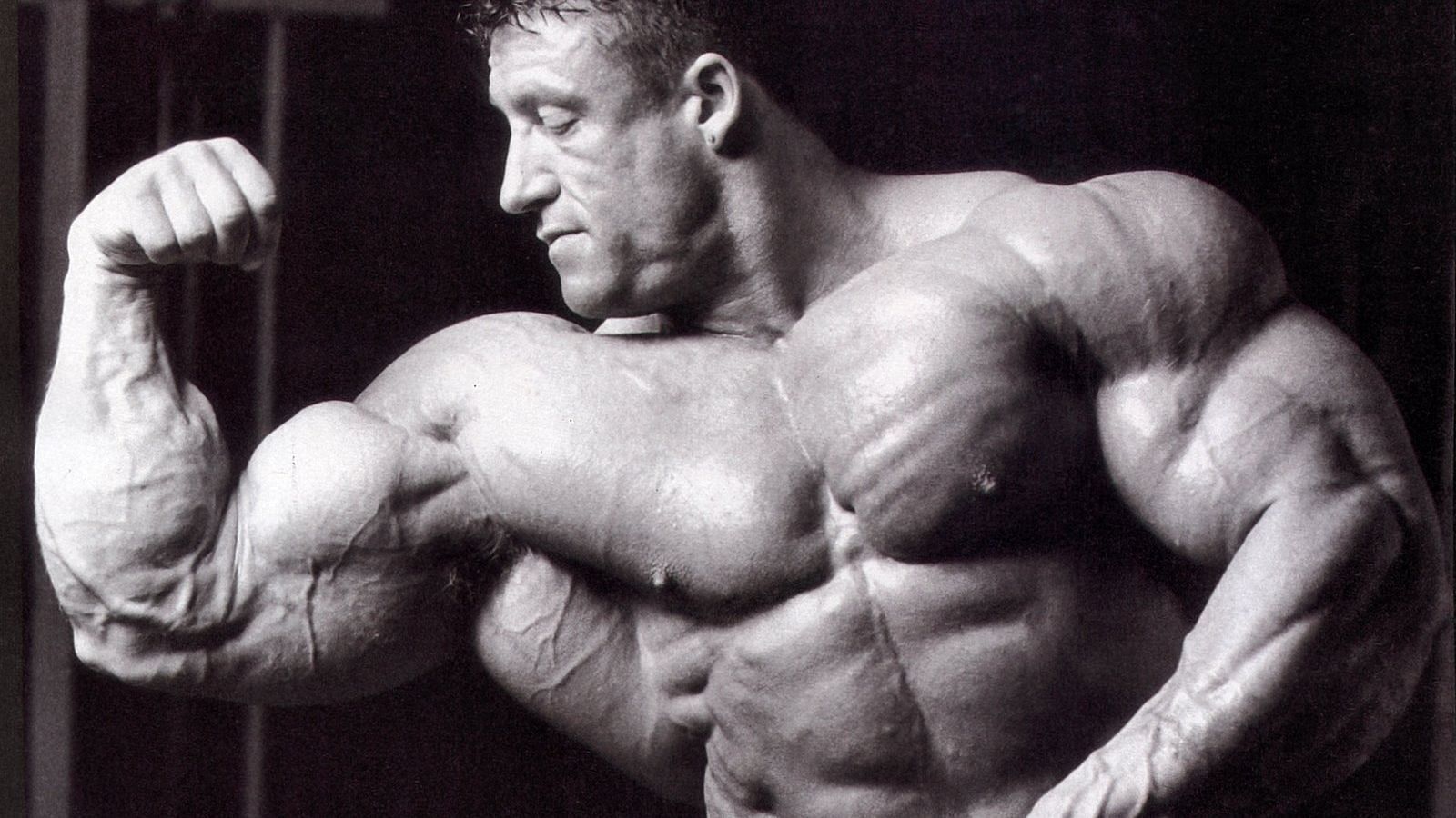 Yates won the Mr. Olympia title, the most prestigious bodybuilding competition in the world, six times consecutively (Photo via wallpapersafari.com)