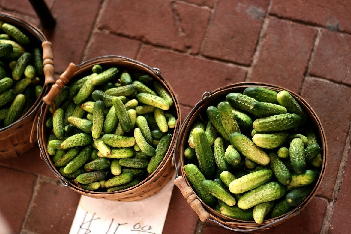 Pickle juice can assist weight loss in several ways (image via Unsplash/Drew Gereats)