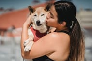 Having a dog keeps blood pressure in check. (Photo via Pexels/Sam Lion)