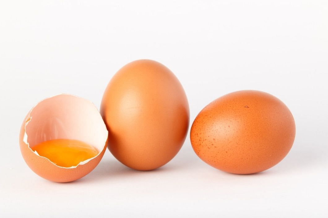Eggs are a high-quality protein source with all essential amino acids. (Image via Freepik/sergiojoes)