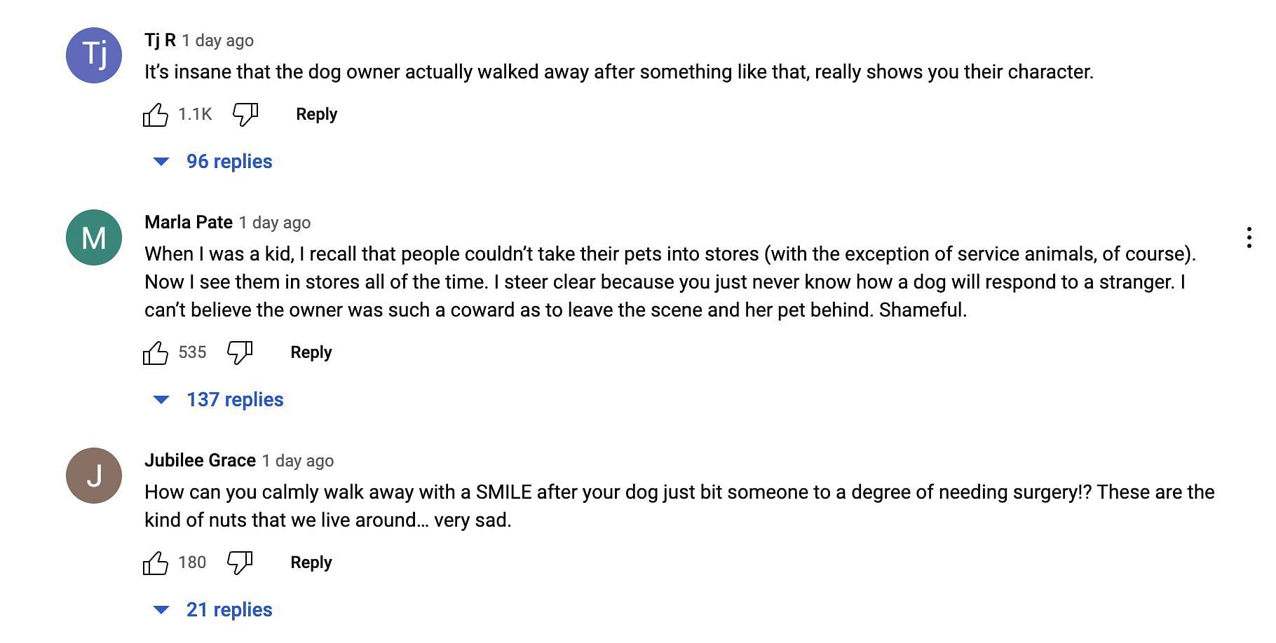 Social media users are infuriated after a dog bites a customer at Home Depot and the pet owner flees away from the scene. (Image via YouTube)