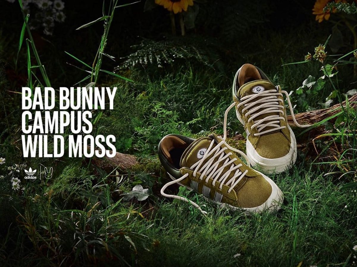 Adidas Originals x Bad Bunny Campus &quot;Wild Moss&quot; sneakers (Image via Adidas)