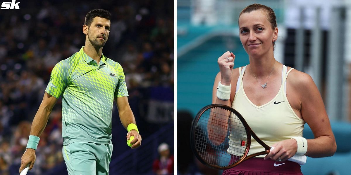 Fans support Petra Kvitova amidst &quot;unfair&quot; comparison to Novak Djokovic