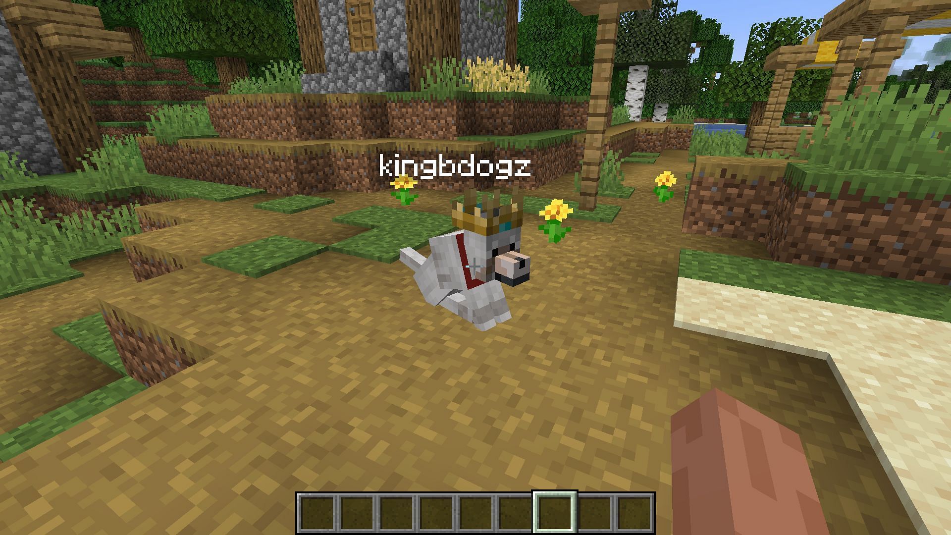 A tamed wolf named kingbdogz (Image via Mojang)