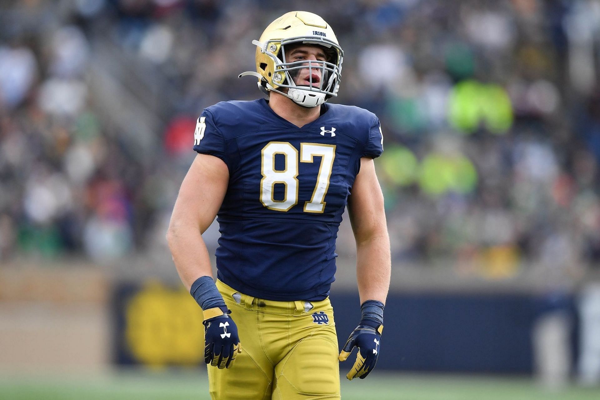 Notre Dame Fighting Irish TE Michael Mayer