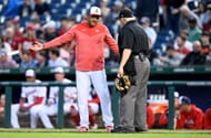 Larry Vanover is the MLB umpire who was hit in the head