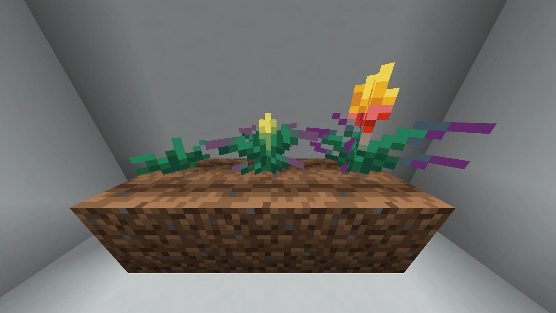 The entire growth cycle of the torchflower crop in Minecraft 1.20 Trails and Tales update (Image via Mojang)