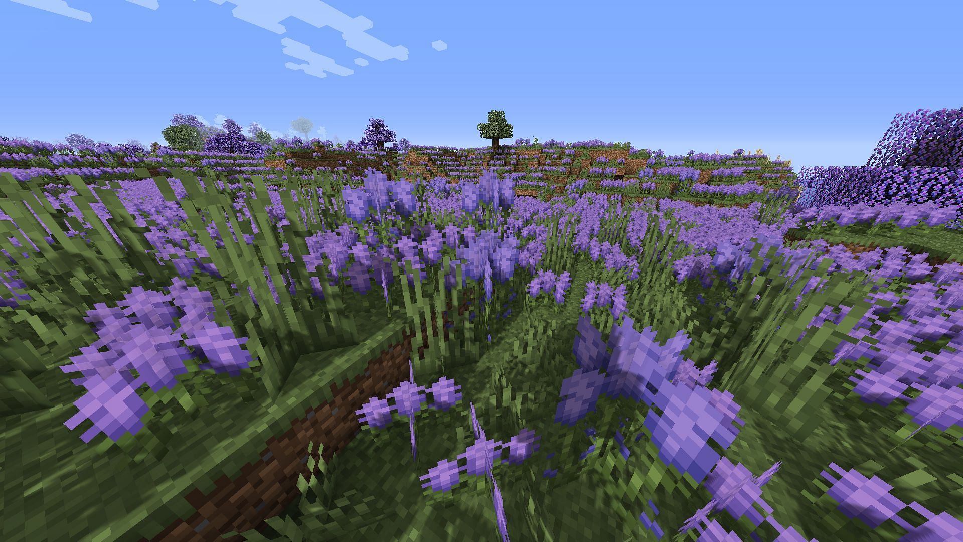 Biomes O&#039; Plenty adds a bunch of new biomes to Minecraft 1.19 (Image via CurseForge)