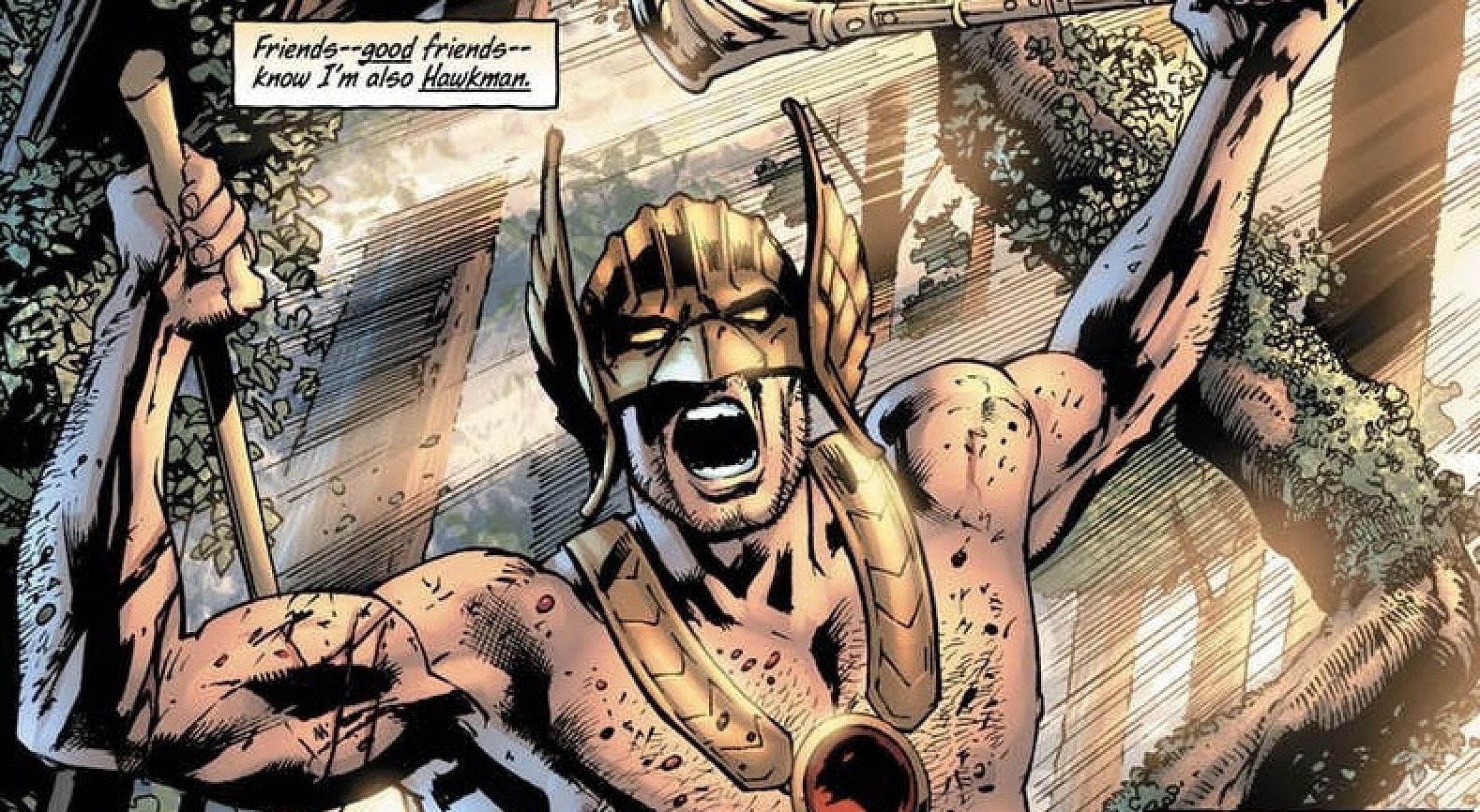 Hawkman with his wings outstretched, wearing chainmail armor and a helmet with wings on it (Image via DC Comics)