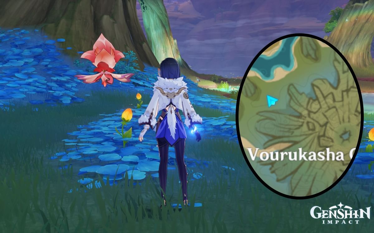 How to purify Sunyata Flowers in Genshin Impact All puzzle locations