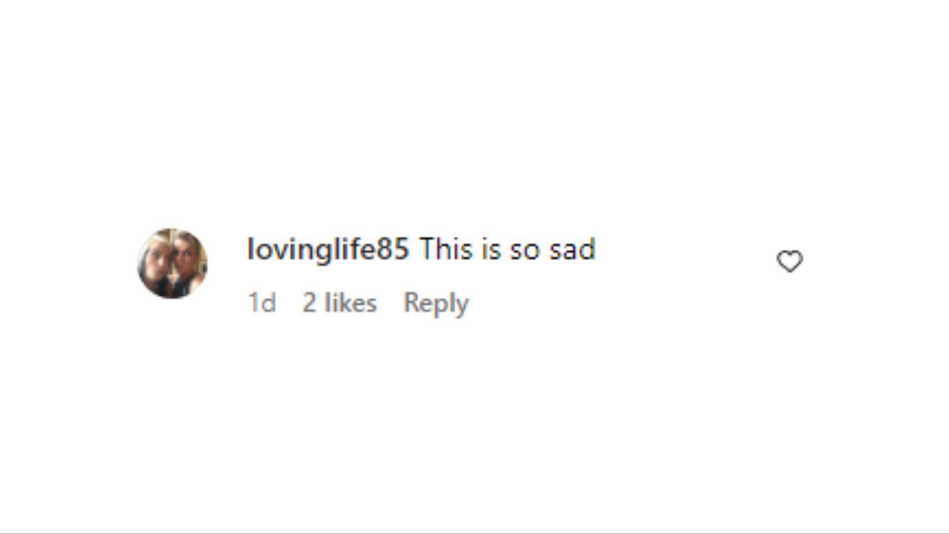 comment by the user @lovinglife85 on Instagram (Image via Instagram)