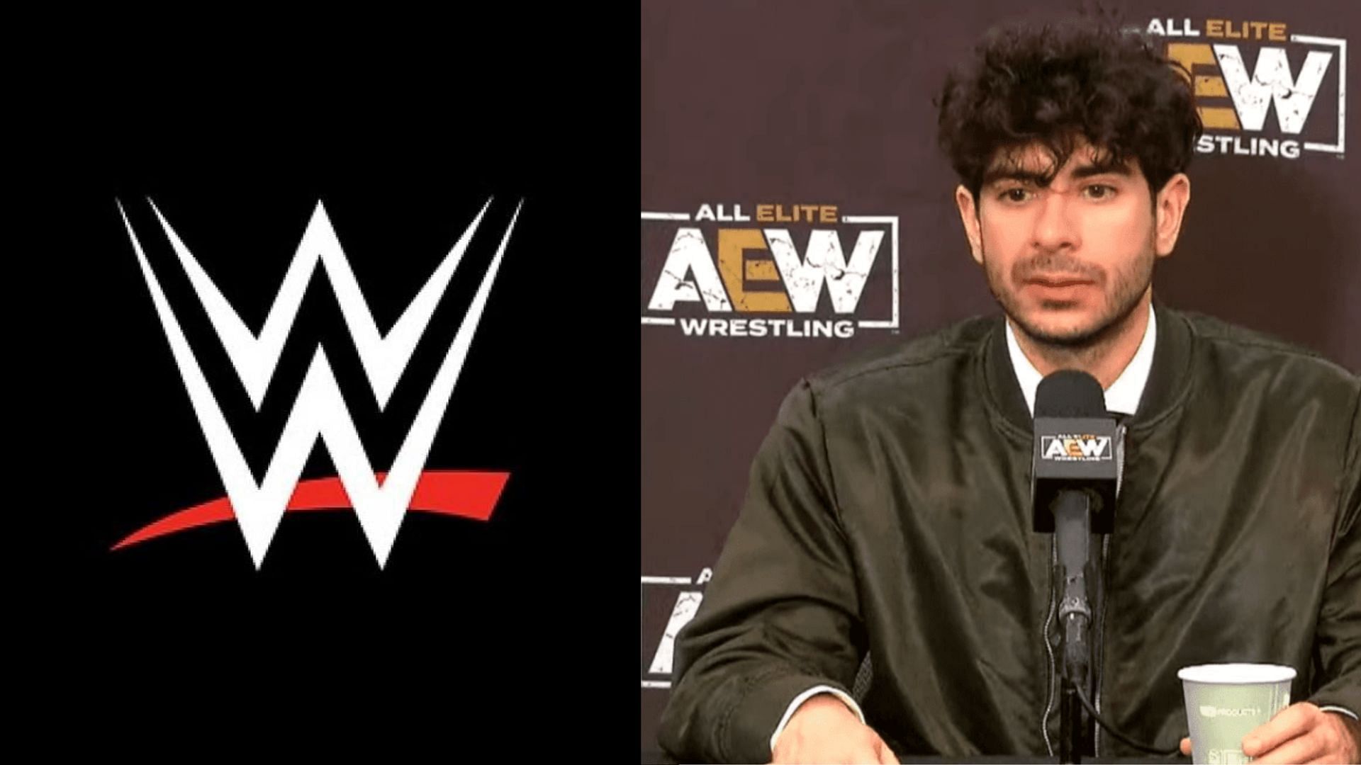 Tony Khan is the CEO and president of AEW