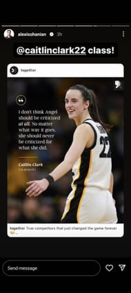 Alexis Ohanian's Instagram story