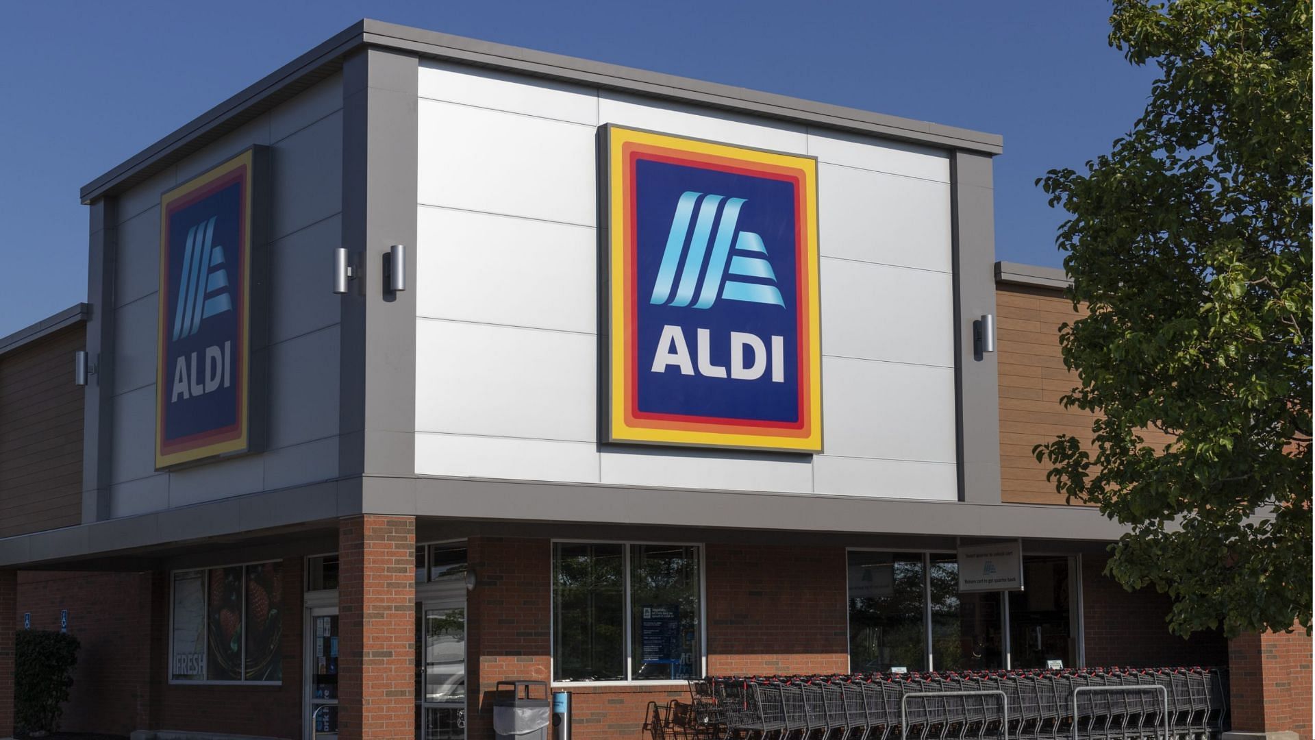 Aldi&rsquo;s seasonal finds for April 2023 to be available in stores starting as early as April 5 (Image via Jet City Image/ GettyImages)