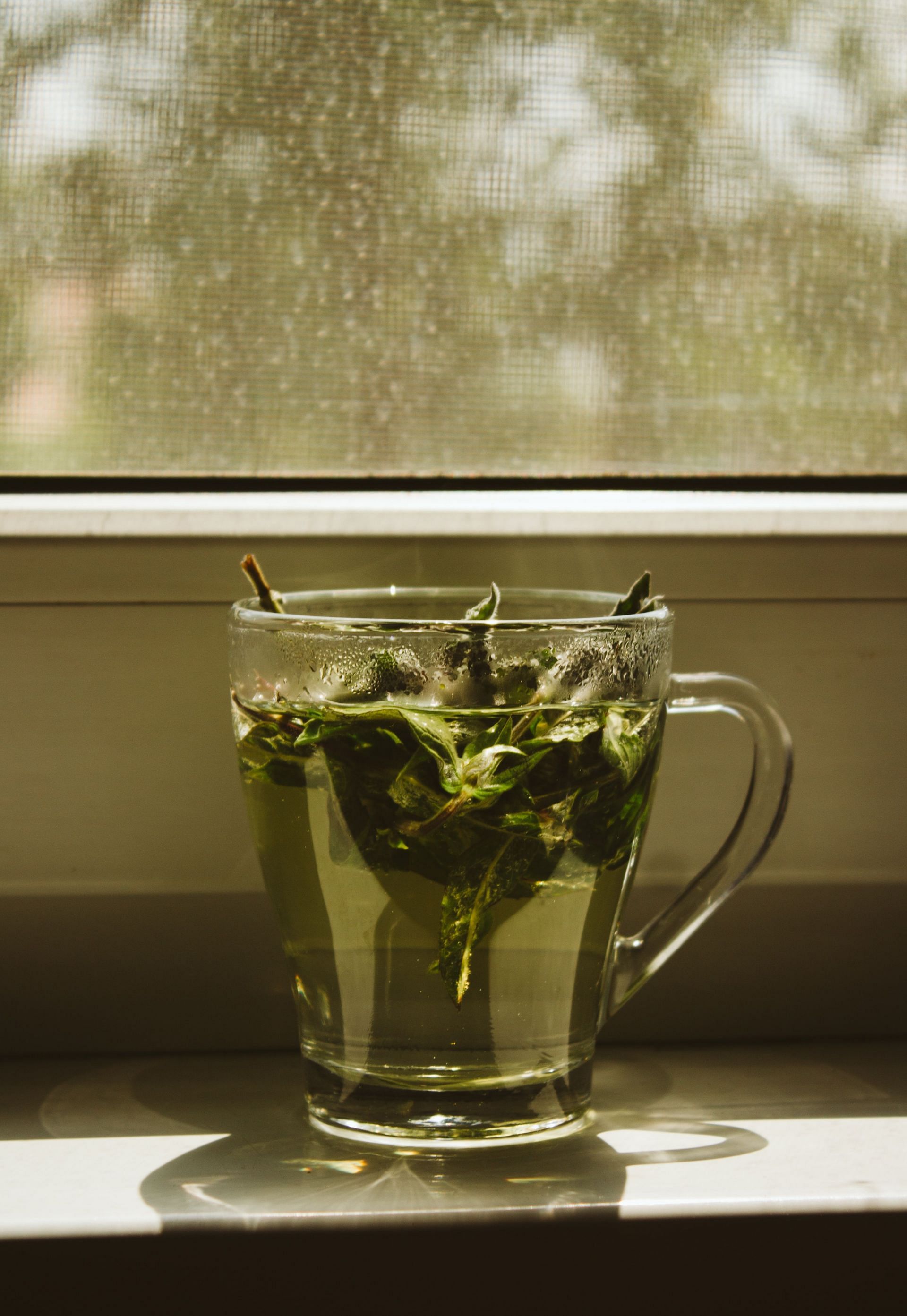 Green tea is effective in reducing the appearance of fine lines and wrinkles (Image via Unsplash)