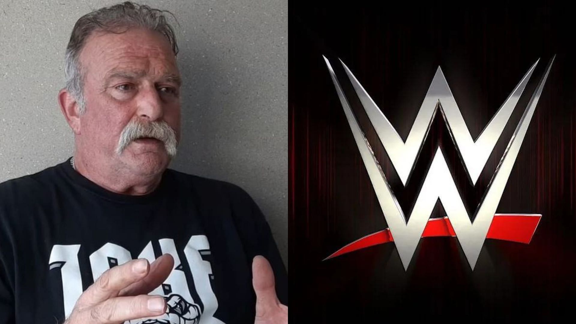 Jake Roberts had some interesting comments this week