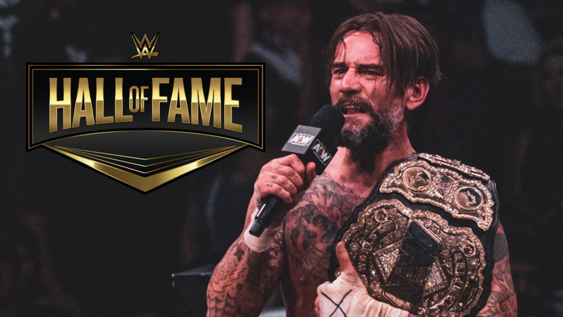 Which WWE Hall of Famer would love to face CM Punk?