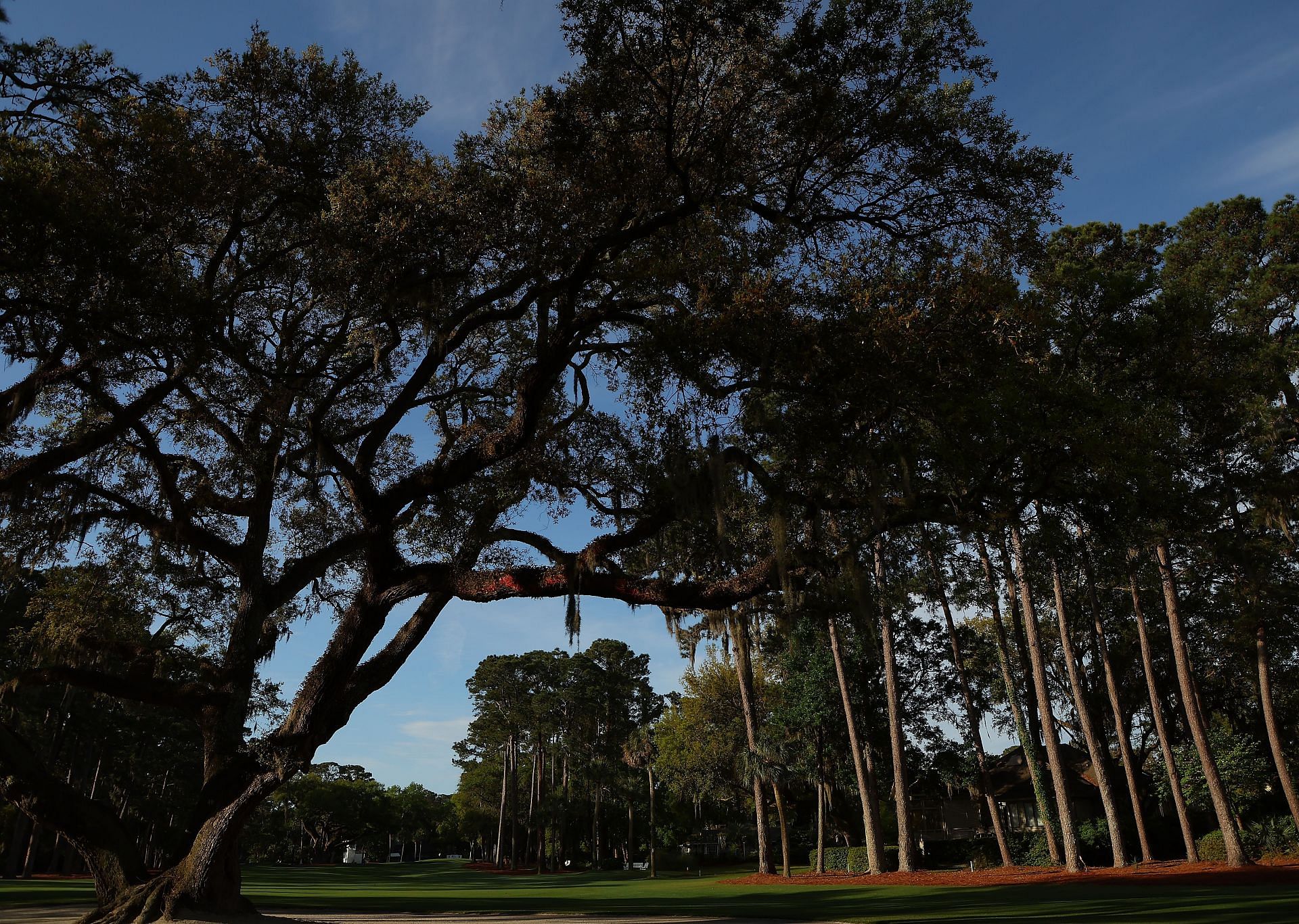 RBC Heritage - Previews