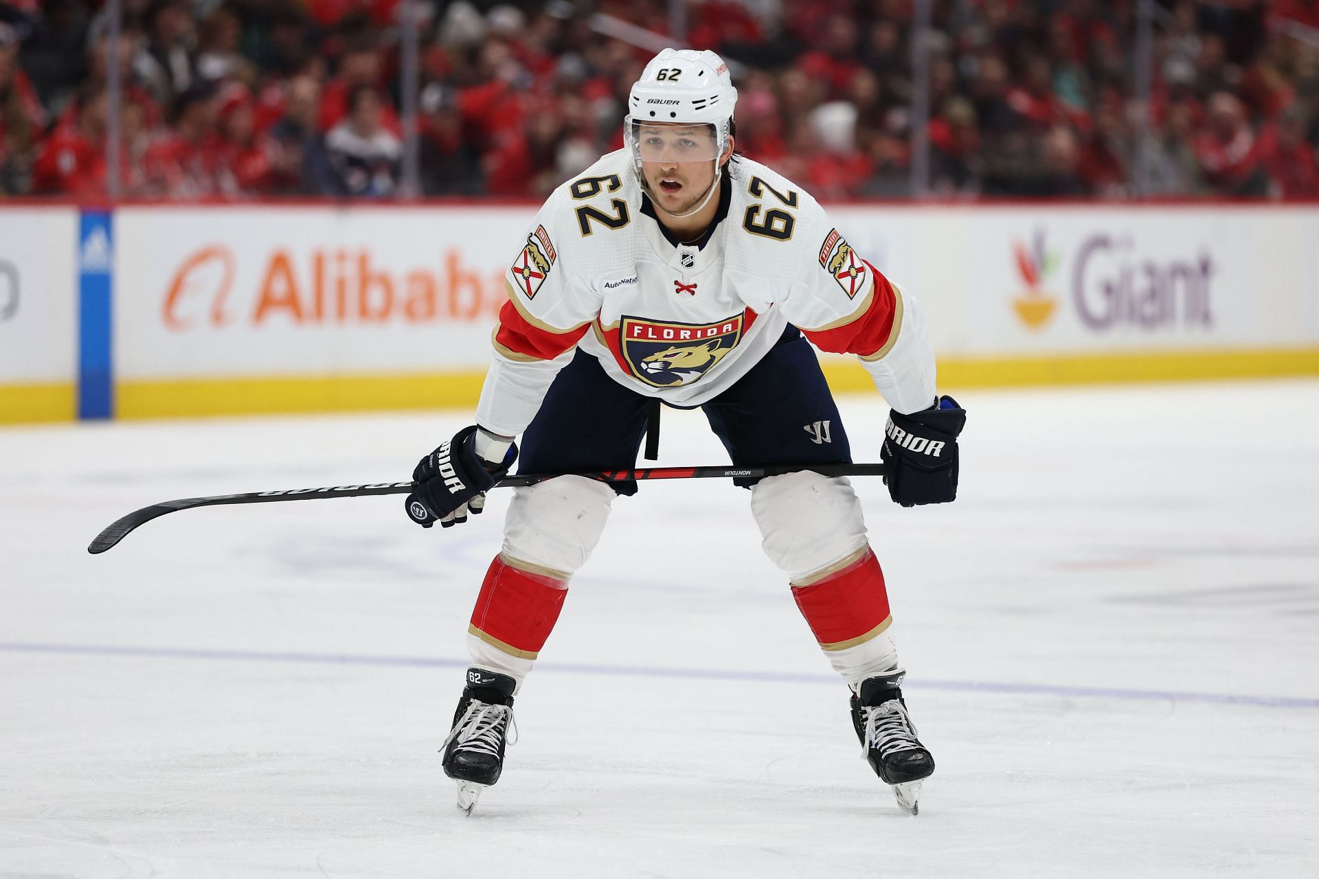 Brandon Montour NHL Florida Panthers: What Is Brandon Montour's Salary ...