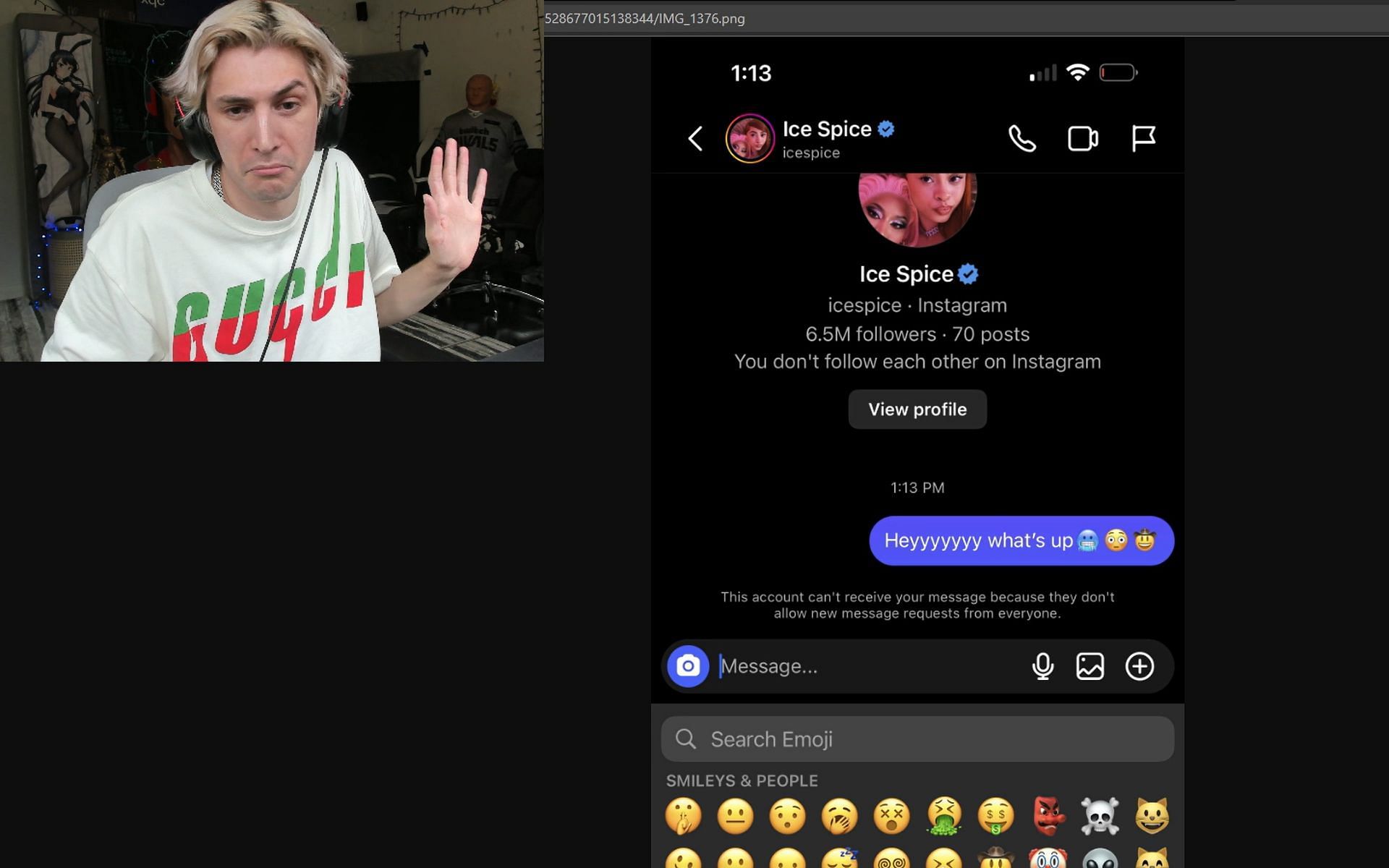 xQc sends Ice Spice an Instagram DM live on the stream (Image via xQc/Twitch)