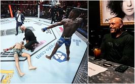 Popular artist shares screenshot of heartwarming DM from Joe Rogan about upcoming Israel Adesanya painting