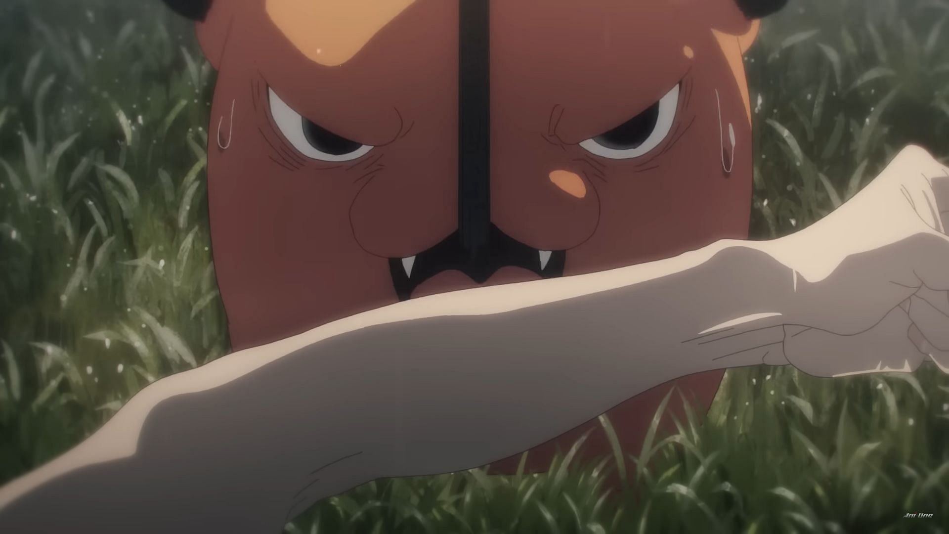 Pochita as seen in the Chainsaw Man anime