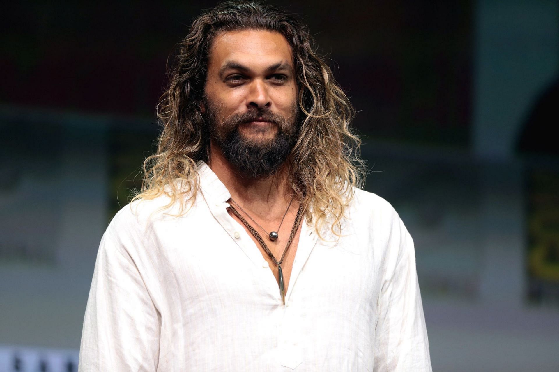 Jason Momoa play Steve (Image via Flickr)