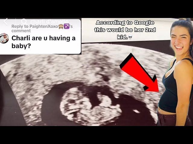 Fact Check Is Charli Damelio Pregnant Viral Tiktok Claim Debunked