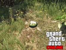 All 76 Peyote Plants locations in GTA Online in 2023
