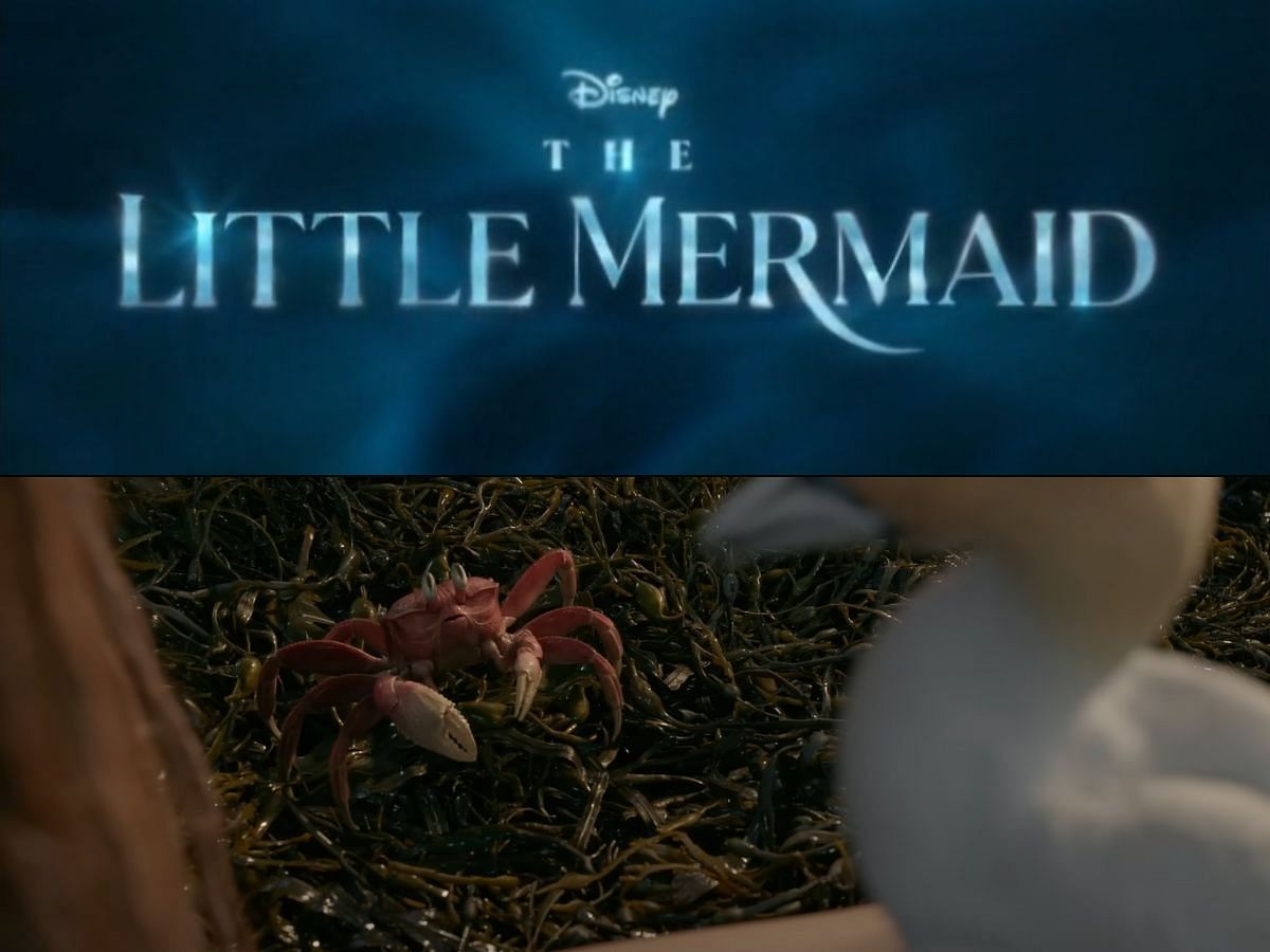 The Little Mermaid (2023) has been directed by Rob Marshall. (Photo via Twitter/@DisneyStudios?Sportskeeda)