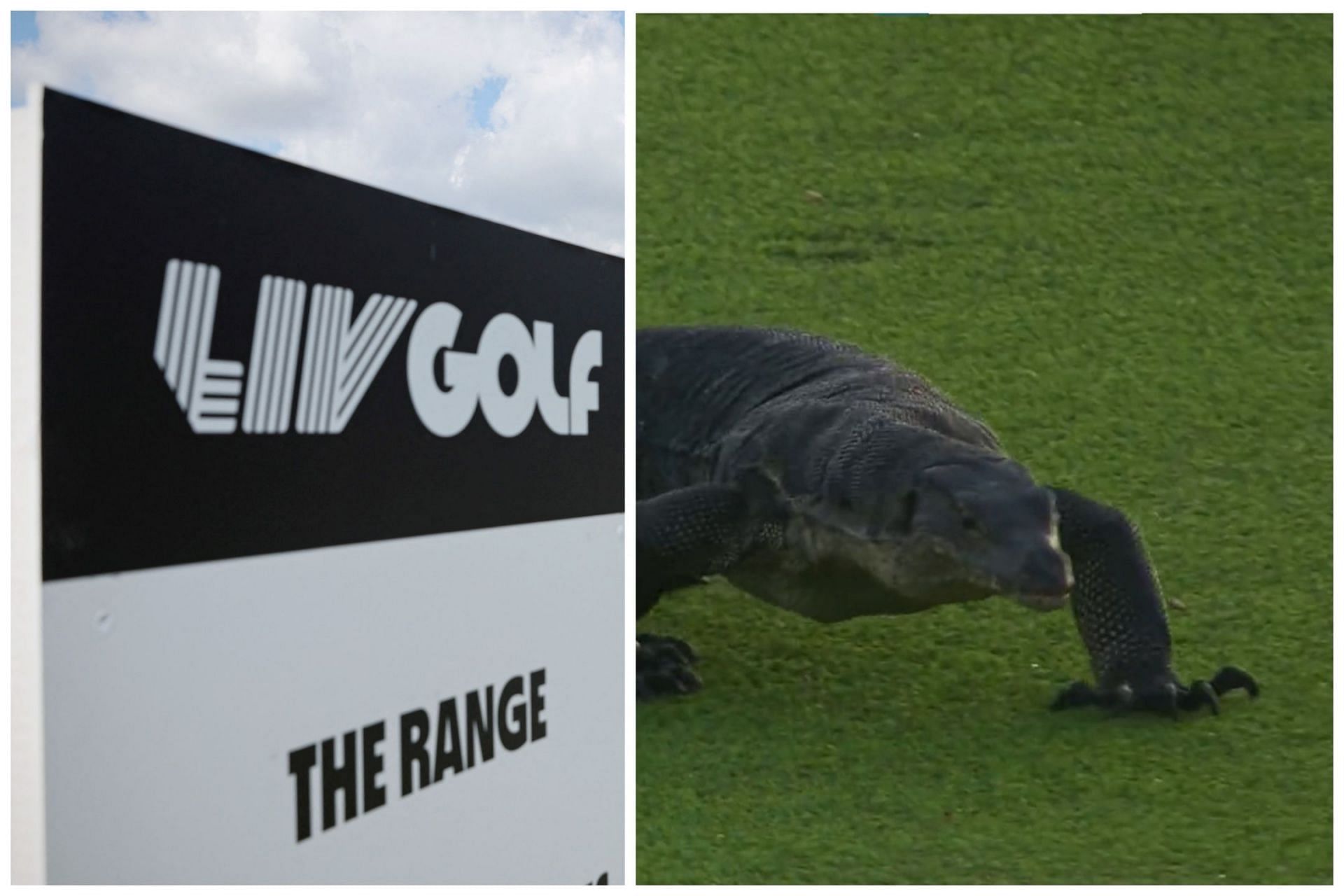LIV Golf Singapore saw intrusion of a monitor lizard during the first round