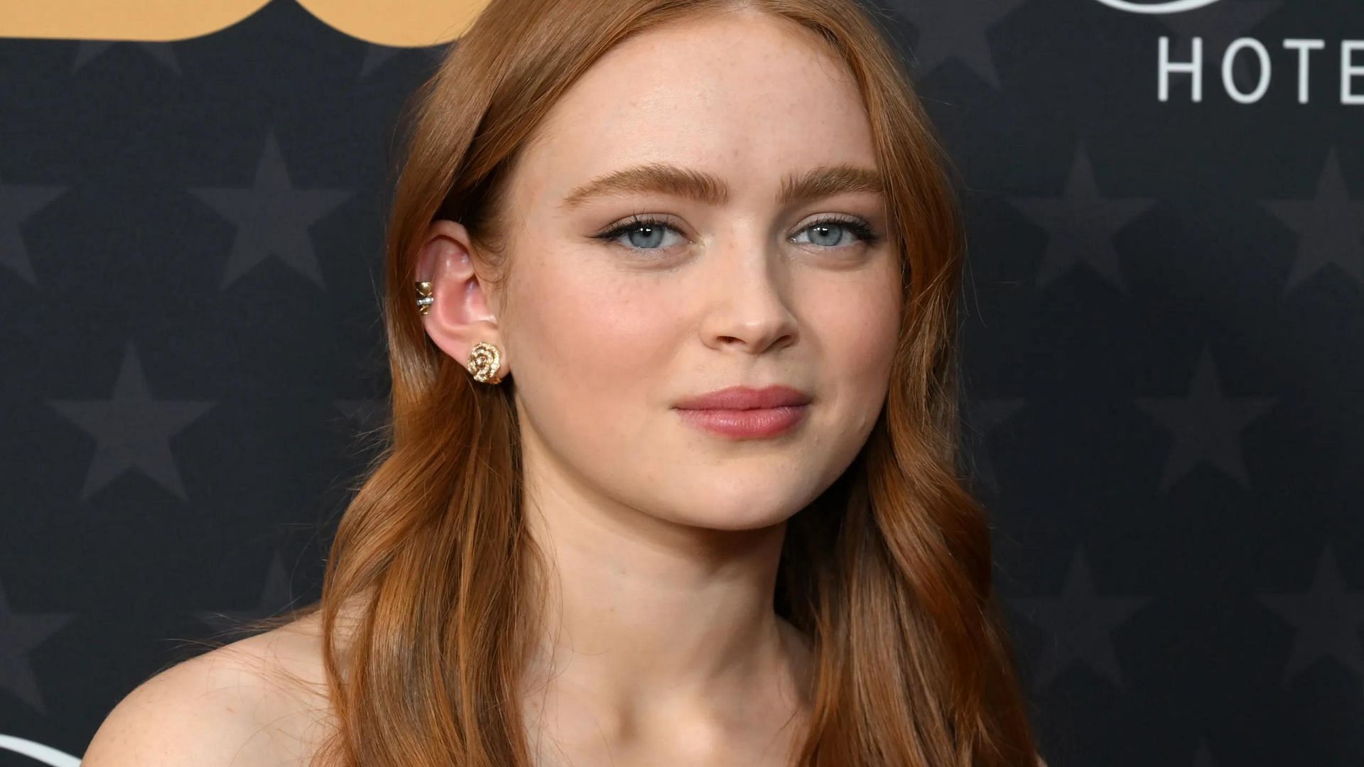 Sadie Sink is another strong candidate for the role of Aloy (Image via Getty)